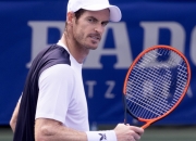 开云体育APP下载-意大利网球队强势美国网球队，穆雷绝境逆转