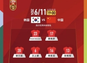 开云体育直播-土耳其队客场不敌挪威，晋级形势堪忧