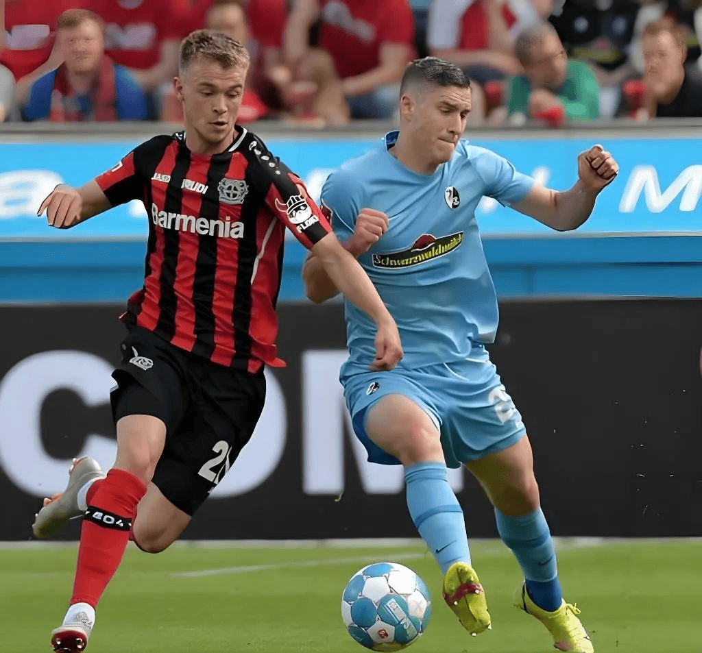 模罗主场-击败美因茨，豪取三分的简单介绍