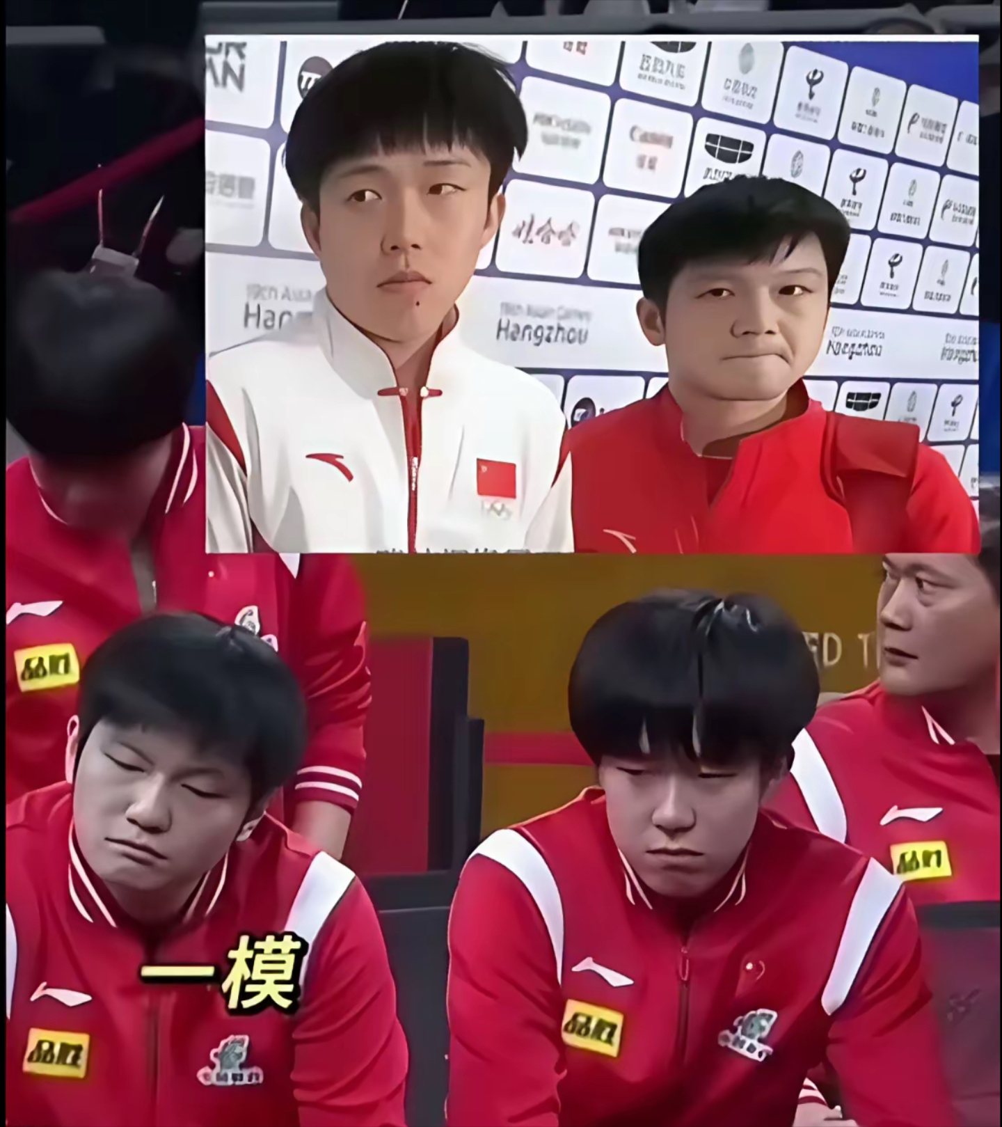 关于中国乒乓球队轻取德国乒乓球队,樊振东制霸全场的信息 关于中国乒乓球队轻取德国乒乓球队,樊振东制霸全场的信息