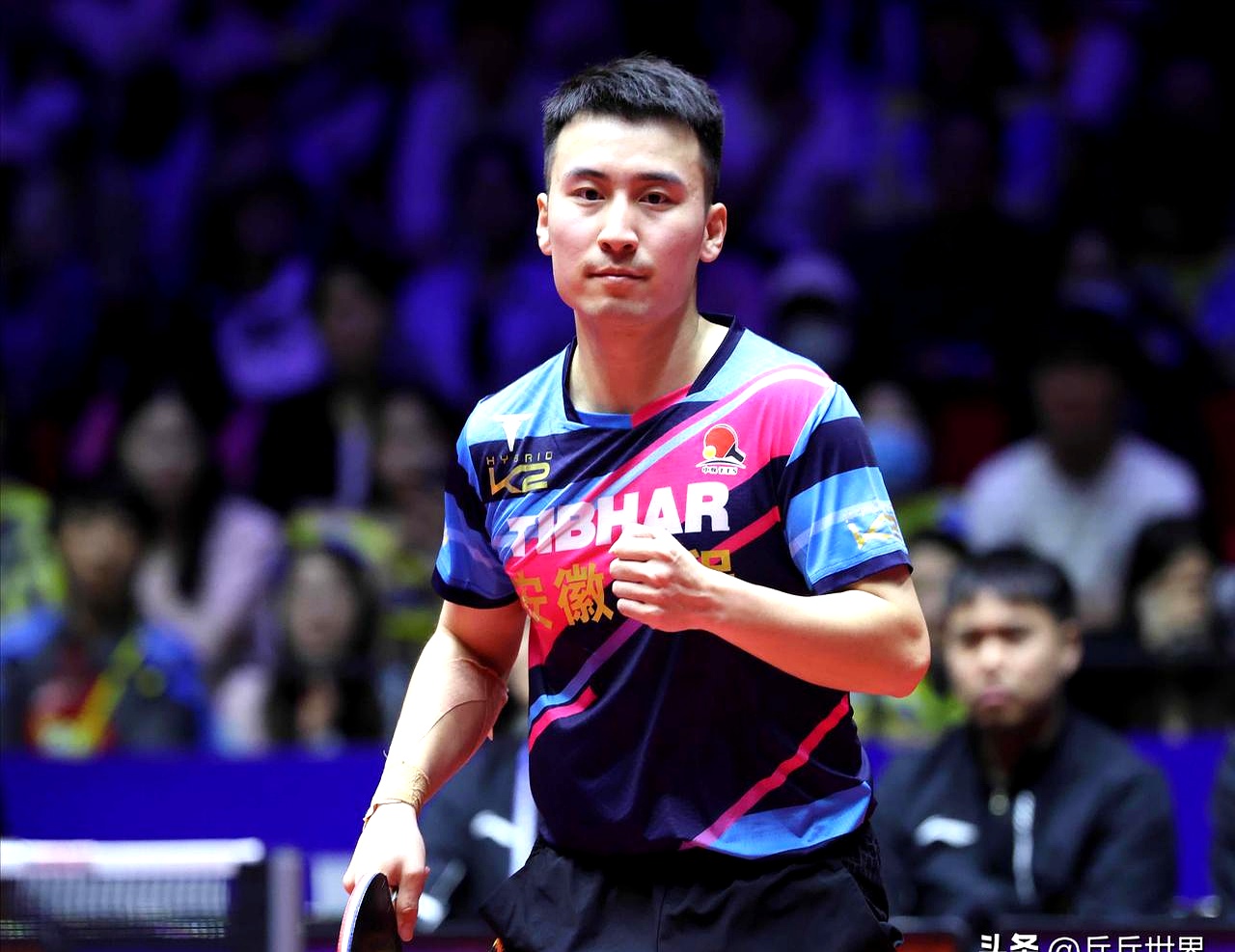 关于法国乒乓球队力克中国乒乓球队，波尔一己之力扛起全队的信息