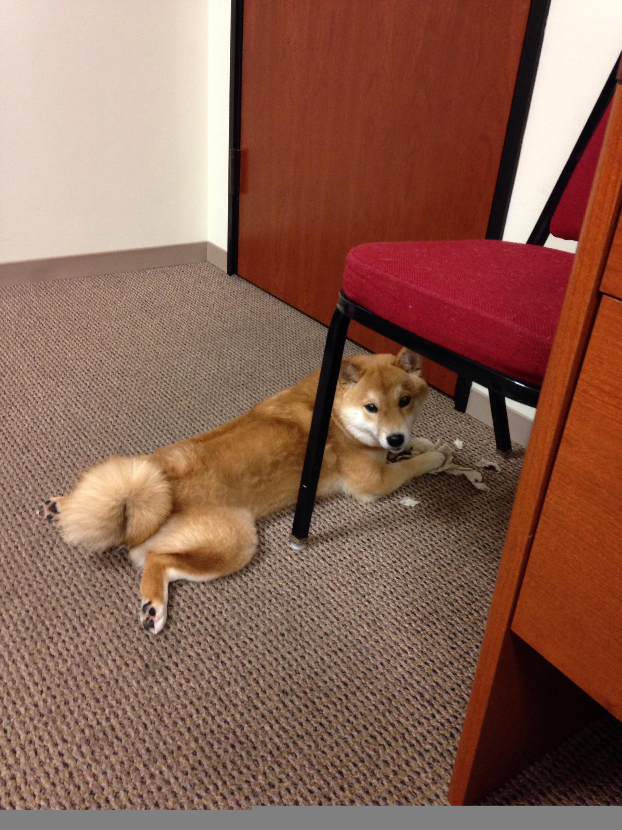 英超争冠焦点战与意甲格局,尤文强压亚特兰大的双重启示