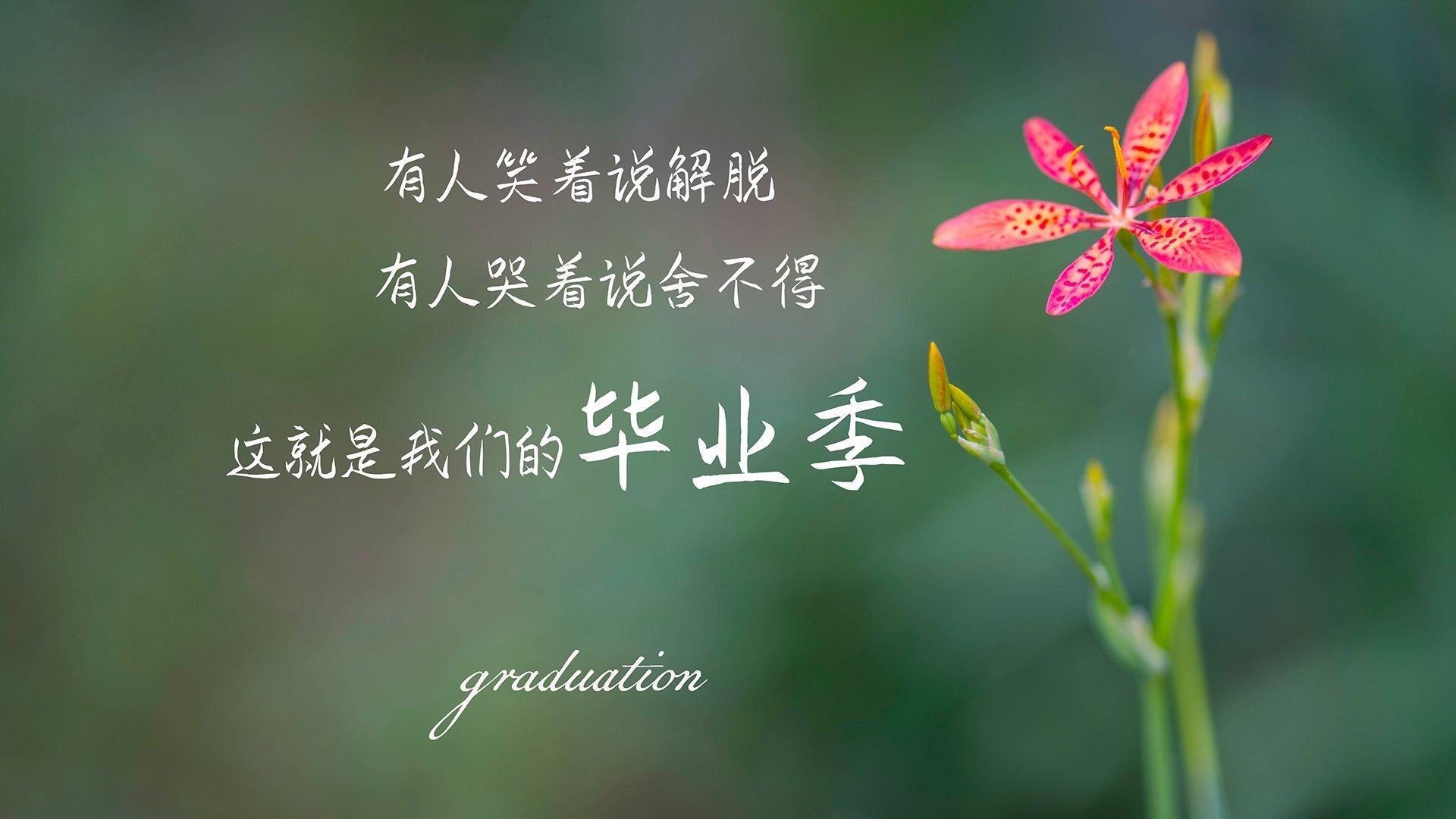 跨界统治力，从尼克斯的全面压制到班凯罗的英超争冠接管